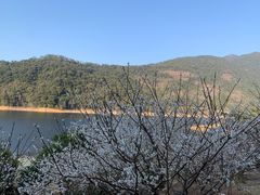 -广州市流溪河国家森林公园