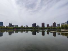 -莲花池公园