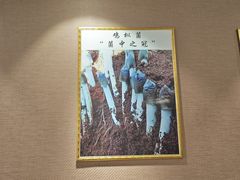 -菌之家·专业纯野生菌火锅·特色炒菌