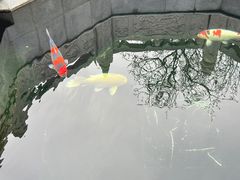 -西安市广仁寺