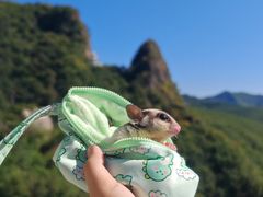 -南丫岛