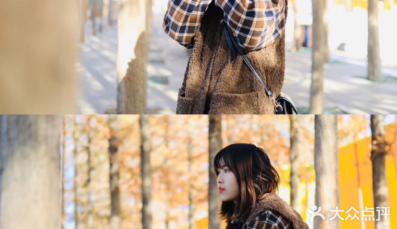 郑州周边游｜假装在京都｜一起看绝美银杏
