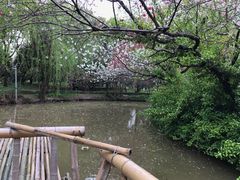 -南汇桃花村