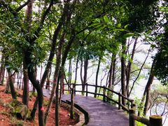 -铁山坪森林公园