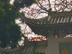 -长洲岛