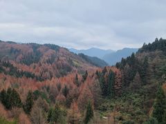 -山王坪喀斯特国家生态公园
