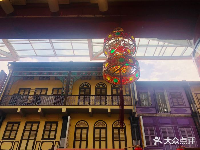 蟹老宋 Xie Lao Song图片