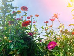 -白塘生态植物园