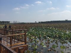 景点-东丽湖风景区