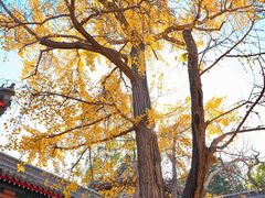 -承恩寺