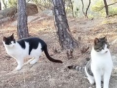 -崂山巨峰游览区
