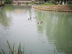 -乌村