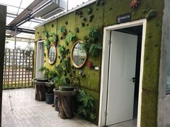 -桉树林A coffee 森林餐厅(三圣乡店)