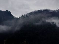 -秦岭服务区餐厅(京昆高速店)