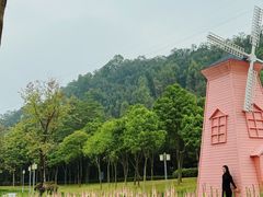 -顺峰山公园
