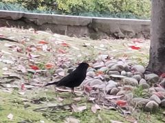 -苏州河梦清园环保主题公园