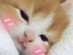 -黑色经典臭豆腐·湖南特产(步行街店)