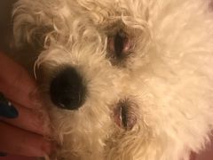 -北京赛佳动物医院