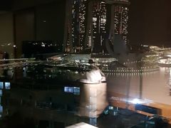 -新加坡文华东方酒店