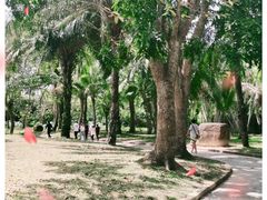 -红色娘子军纪念园