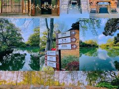 -西溪国家湿地公园