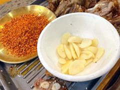 -乳仔牛牦牛汤锅 烤羊排(松潘古城店)