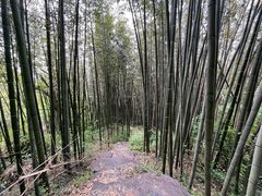 -海上云台山景区