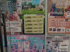 -瑞派长江宠物医院·猫科·外科·24小时夜护(谊城公寓分院)