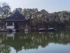 -鲁镇