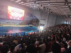 -福州罗源湾海洋世界旅游区