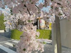 -Blue Concept Cafe&Farm·關於藍