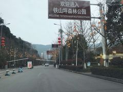 -铁山坪森林公园
