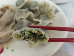 生鸿毛素馅水饺-鸿毛饺子(紫竹桥店)
