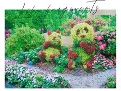 -上海滨江森林公园