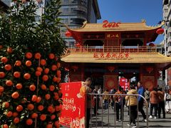 -越秀西湖花市(广州城市广场花卉店)
