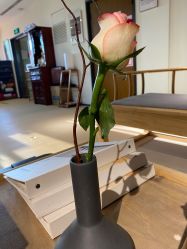 -FineYoga梵音瑜伽·普拉提