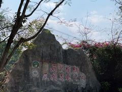 -西双版纳原始森林公园