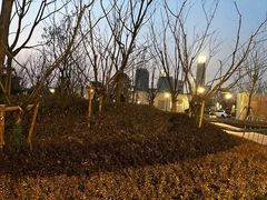 -上海山野camping·户外天幕烧烤·团建拓展营地