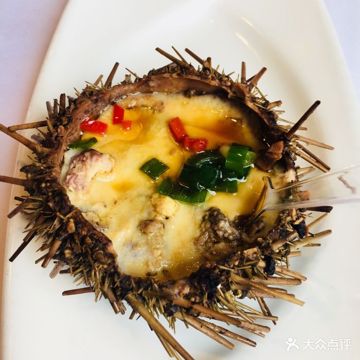 开海红岛海鲜虾水饺(闽江路店)-海胆蒸蛋-菜-海胆蒸蛋图片-青岛美食
