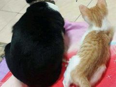 -沪上阿姨·精选茶饮(烟台万达广场店)