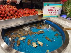 梭子蟹-初色海鲜自助(朝阳北路店)