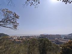 -平湖九龙山旅游度假区