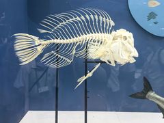 -国家自然博物馆