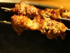 掌中宝-董家庄水浒烤肉店(芙蓉洲路店)
