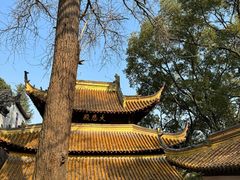 -狼山风景名胜区