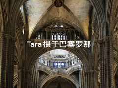 -巴塞罗那主教座堂