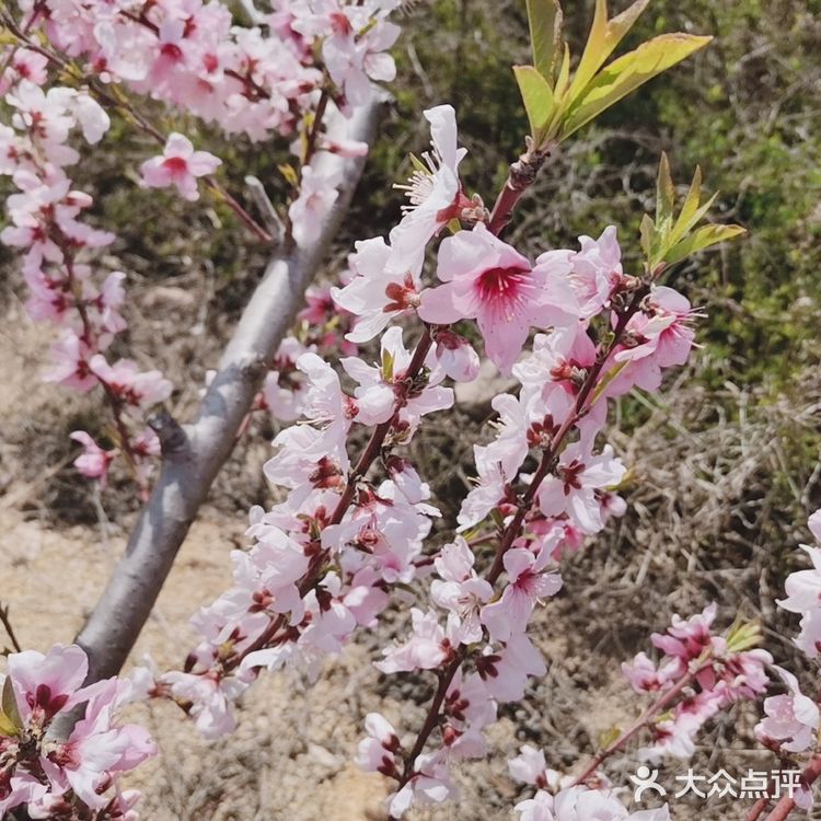 带着自己的家人去户外呼吸一下新鲜的空气
