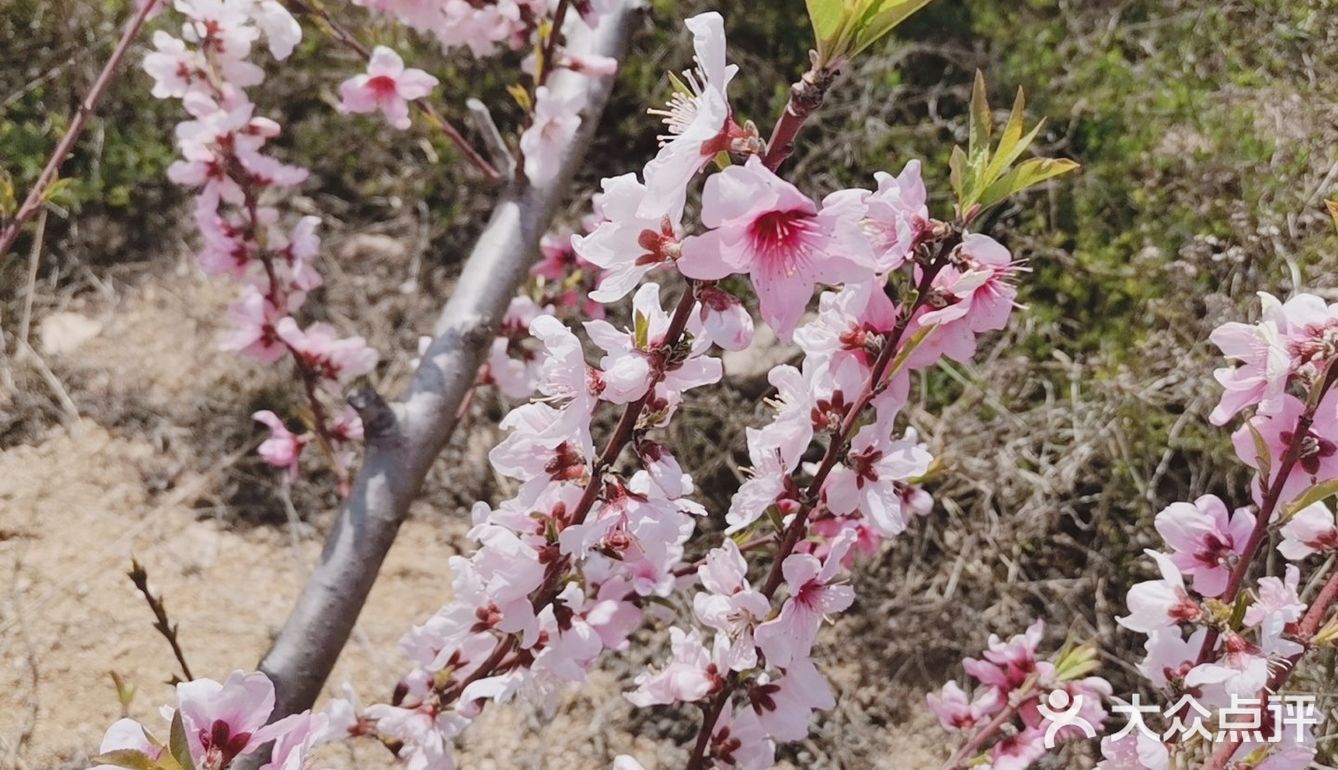 带着自己的家人去户外呼吸一下新鲜的空气