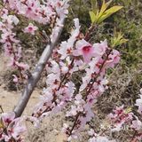 带着自己的家人去户外呼吸一下新鲜的空气