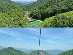 -栾川竹海野生动物园